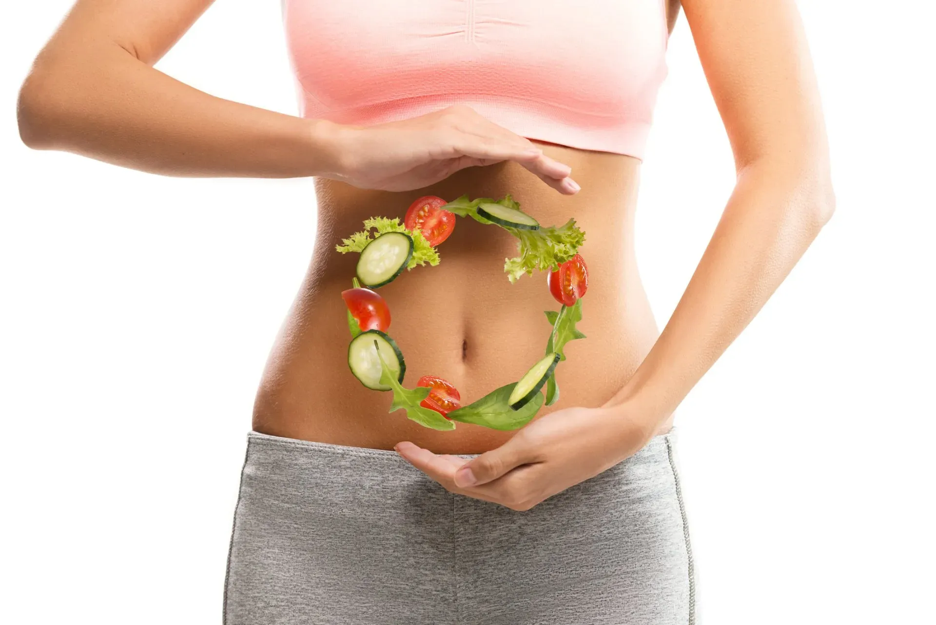 synogut supplement